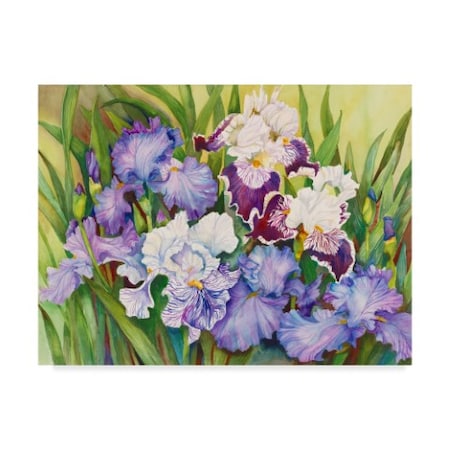 Joanne Porter 'Irises In Shades Of Lavender' Canvas Art,24x32